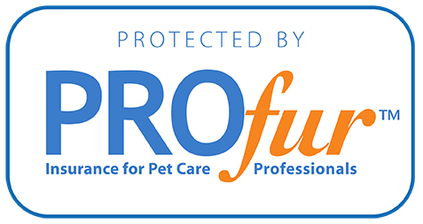 A picture of the profugo logo.