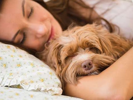 A woman sleeping with her dog on the bed