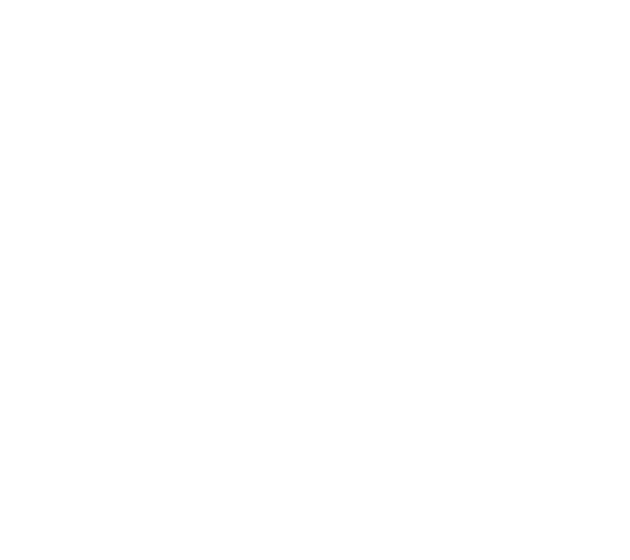 A white dog is standing on the ground.