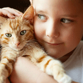 A boy holding an orange cat with blue eyes.