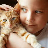 circle02 A boy holding an orange cat with blue eyes.